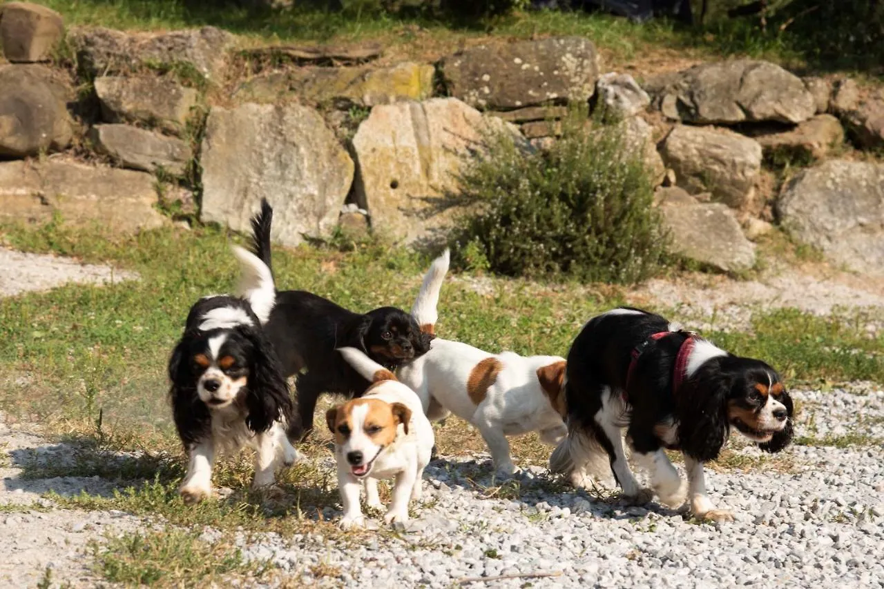 Agriturismo Cascina Costa Cassago Brianza Farm stay